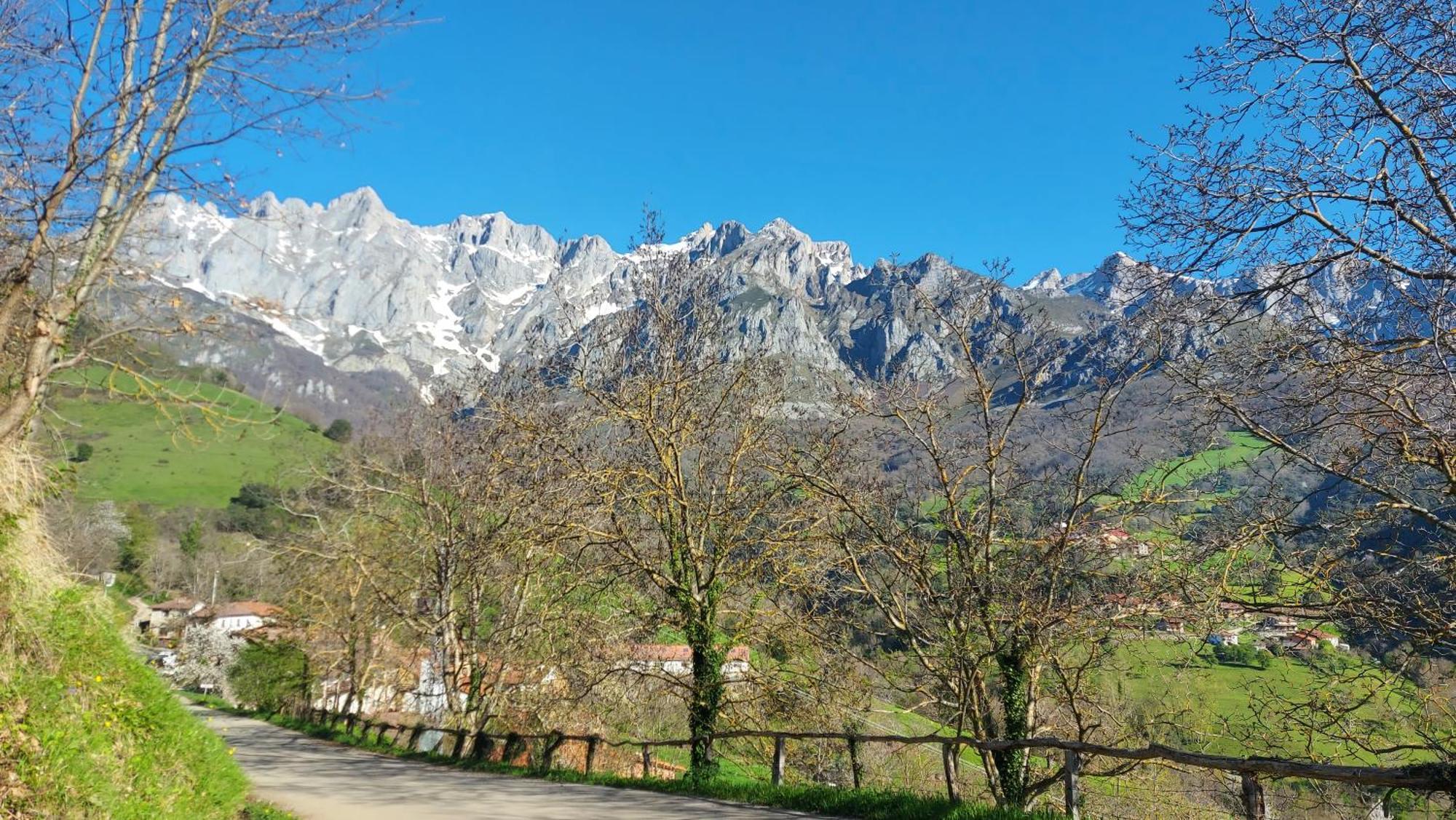 Apartamentos Rurales Los Picos De Redo Camaleño Eksteriør billede
